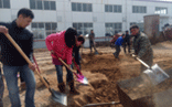擴建菜園活動圖